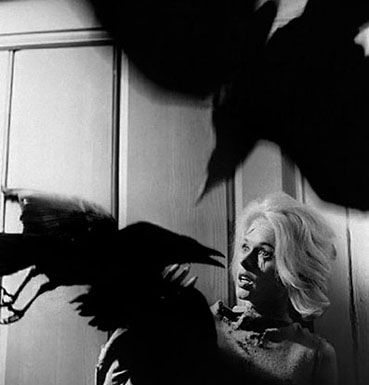 the-birds-remake
