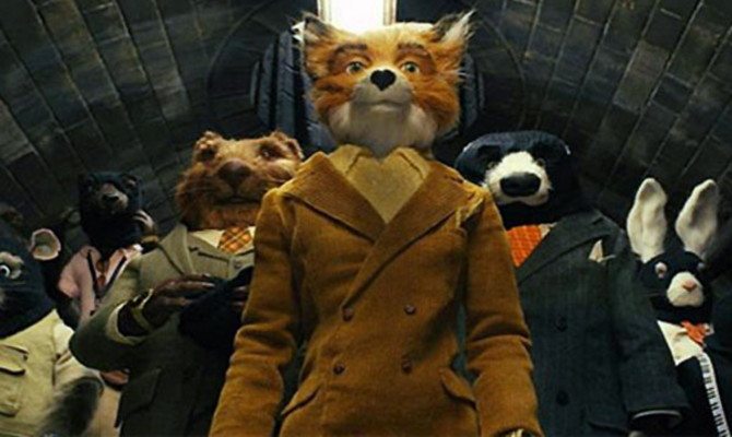 sr-fox_2