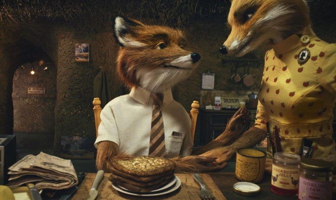sr-fox_3