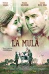 la mula_0