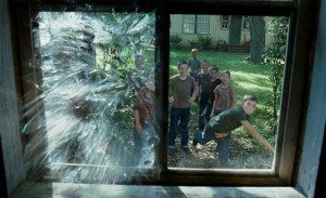 el arbol de la vida_cinemanet_10