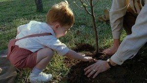 el arbol de la vida_cinemanet_26