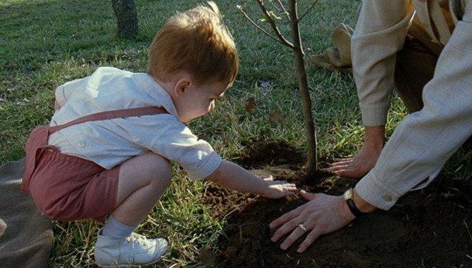 cinemanet | el árbol de la vida