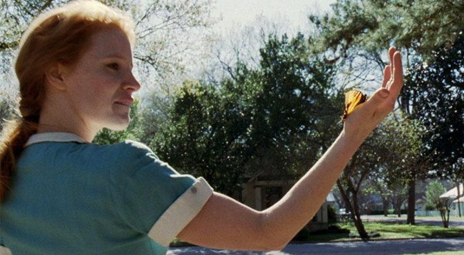 cinemanet | el arbol de la vida