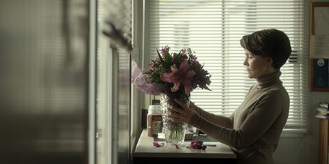 Cinemanet | Loreak