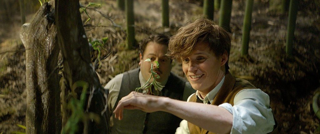 CinemaNet Animales fantásticos y dónde encontrarlos Harry Potter