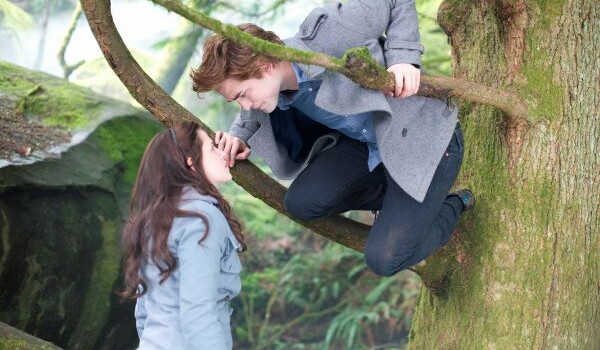 Crepusculo