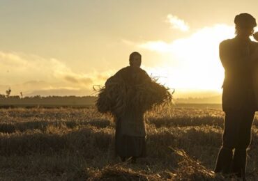 CinemaNet Sunset Song Terence Davies
