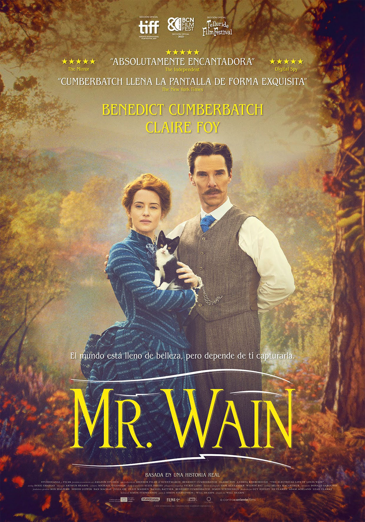 Mr. Wain | ¿La electricidad es amor?