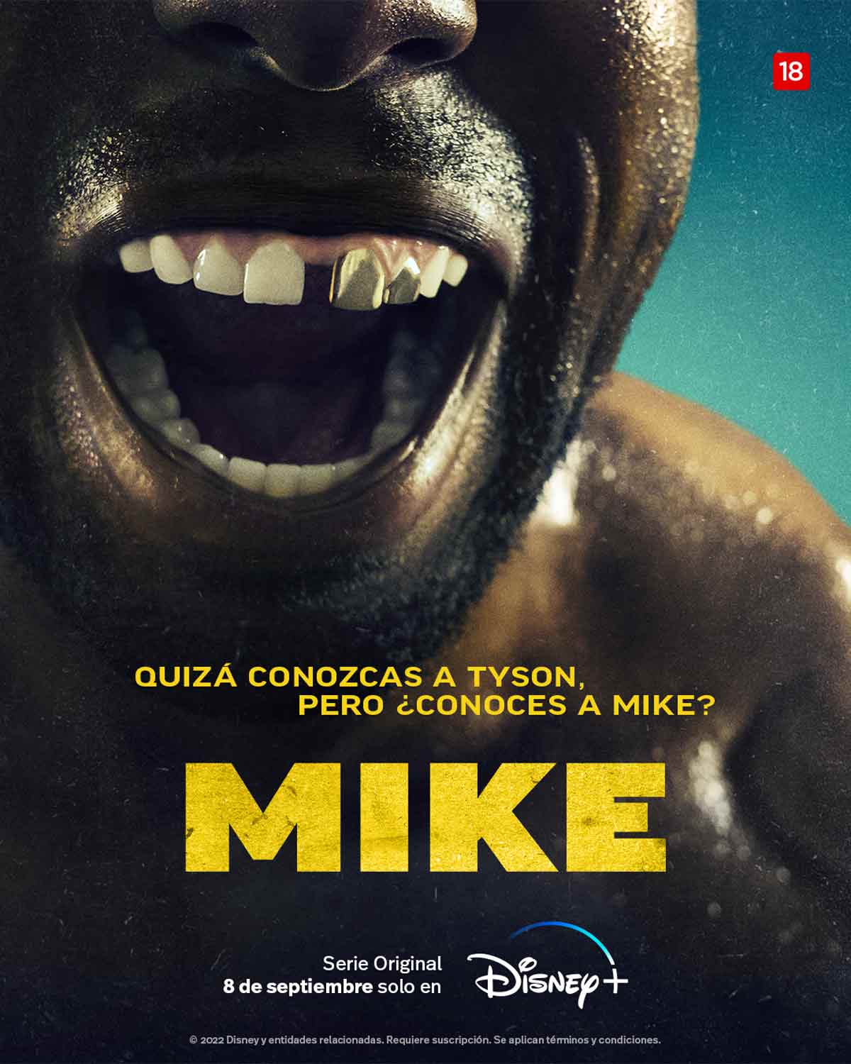 Mike (miniserie) | Ejercicio de introspección