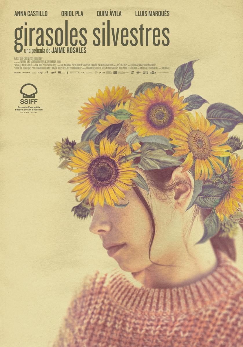 Girasoles silvestres | Buscando la felicidad